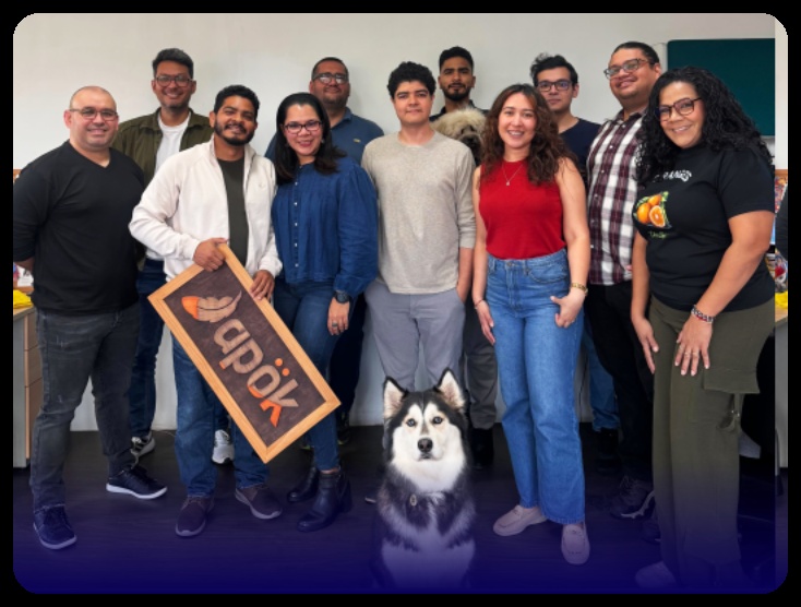 Equipo de trabajo de Apök
